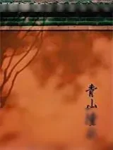 《青山撞我》小说封面