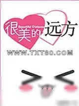 《很美的远方》小说封面