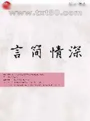 《言简情深》小说封面