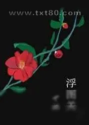 《浮图关》小说封面