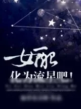 《女配，化为流星吧！》小说封面
