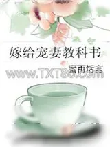 《嫁给宠妻教科书》小说封面