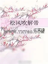 《松风吹解带》小说封面