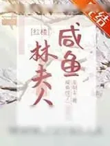 《[红楼]咸鱼林夫人》小说封面