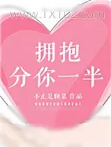 《拥抱分你一半》小说封面