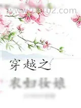 《穿越之农妇妆娘》小说封面