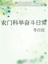 《农门科举奋斗日常》小说封面