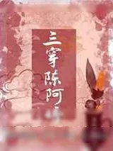 《三穿陈阿娇》小说封面