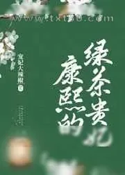 《康熙的绿茶贵妃》小说封面