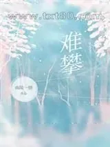 《难攀》小说封面