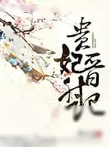 《贵妃晋升记》小说封面