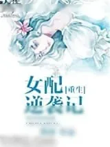 《穿书女配逆袭记》小说封面