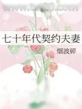 《七十年代契约夫妻》小说封面