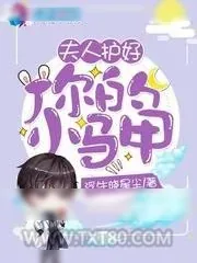 《夫人护好你的小马甲》小说封面