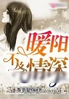 《暖阳不及情深》小说封面