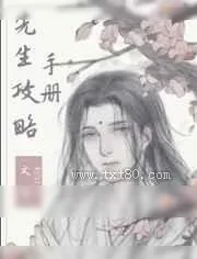 《先生攻略手册》小说封面
