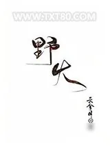 《野火》小说封面