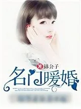 《名门暖婚：腹黑老公惹不起》小说封面
