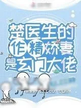 《楚医生的作精娇妻是玄门大佬》小说封面