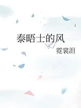 《泰晤士的风》小说封面