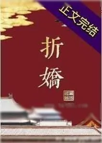 《折娇》小说封面