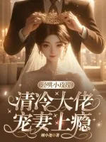 《轻哄小玫瑰，清冷大佬宠妻上瘾》小说封面