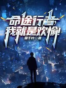 《命途行者，我就是欢愉！》小说封面