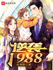 《逆袭1988》小说封面