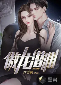 《傲龙潜渊》小说封面
