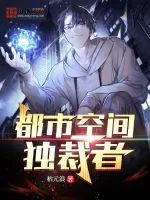 《都市空间独裁者》小说封面