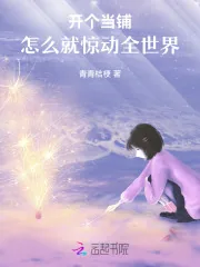 《开个当铺，怎么就惊动全世界》小说封面