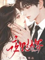 《夜里越界》小说封面