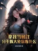 《拿我当赌注，分手嫁大佬你悔什么》小说封面