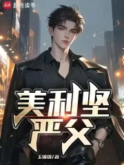 《美利坚严父》小说封面