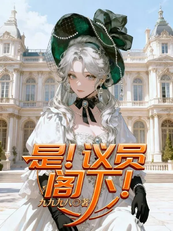 《是！议员阁下！》小说封面