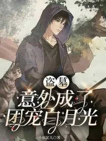 《盗墓：意外成了团宠白月光》小说封面