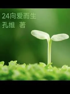 《24向爱而生》小说封面