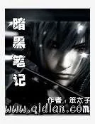 《暗黑笔记》小说封面