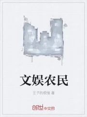 《文娱农民》小说封面