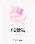《东魔法》小说封面