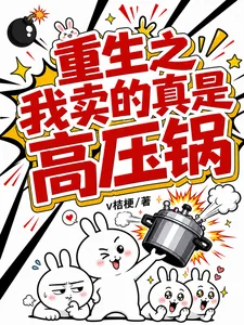 《重生之我卖的真是高压锅》小说封面