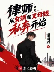 《律师：从合法打击出轨私奔开始》小说封面