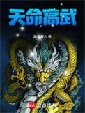 《天命高武》小说封面