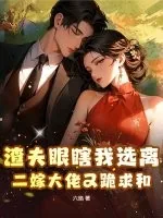 《渣夫眼瞎我选离，二嫁大佬又跪求和》小说封面