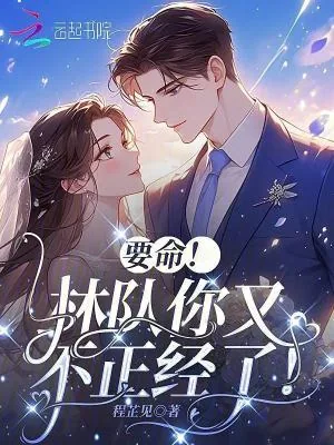 《要命！林队你又不正经了！》小说封面