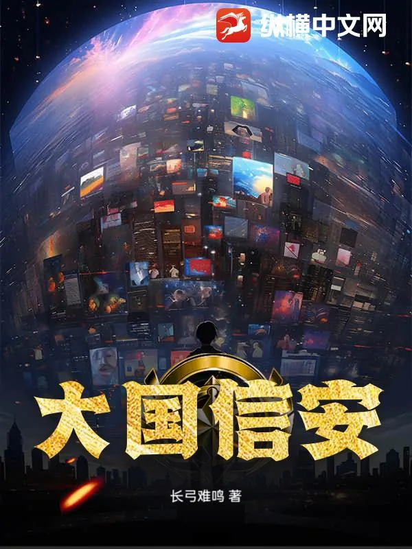 《大国信安》小说封面