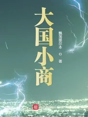 《大国小商》小说封面