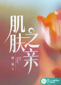《肌肤之亲》小说封面
