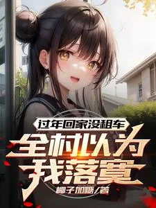 《过年回家没租车，全村以为我落寞》小说封面