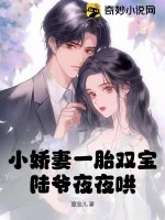 《小娇妻一胎双宝,陆爷夜夜哄!》小说封面